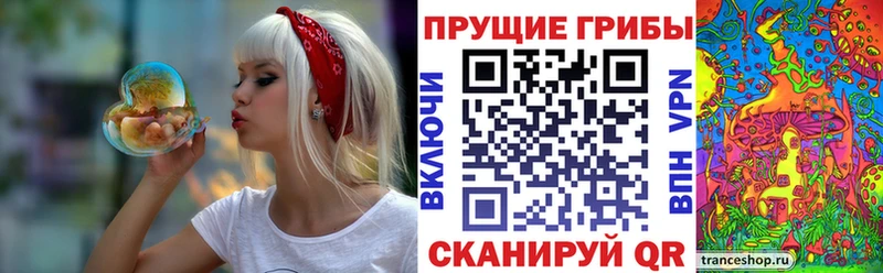 MEGA онион  Себеж  Галлюциногенные грибы Cubensis 